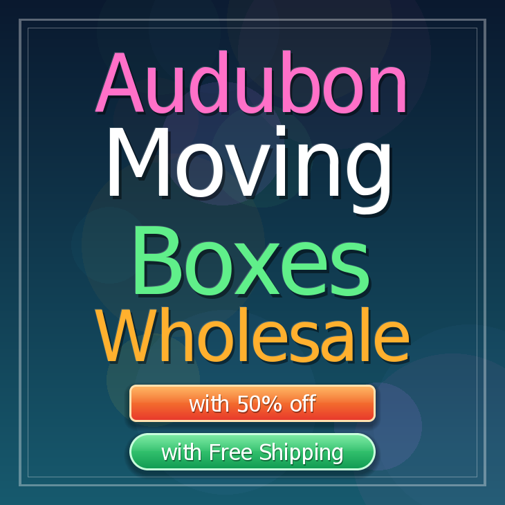Audubon moving boxes