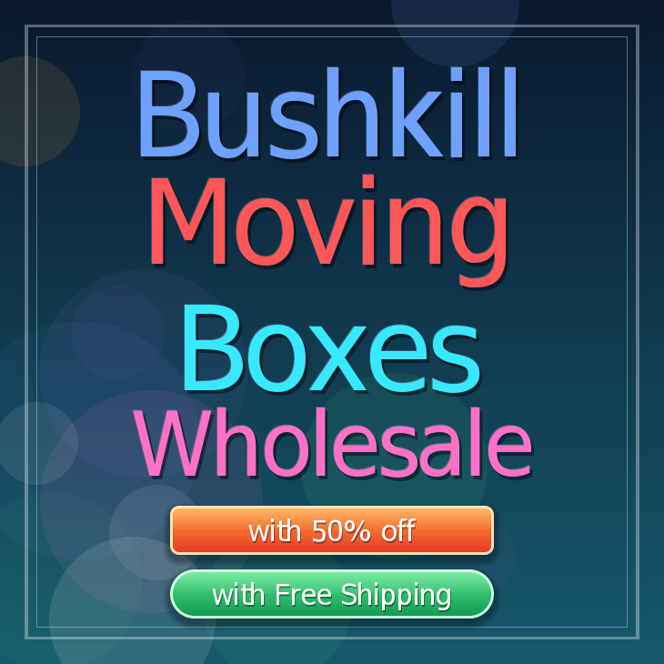 Bushkill moving boxes