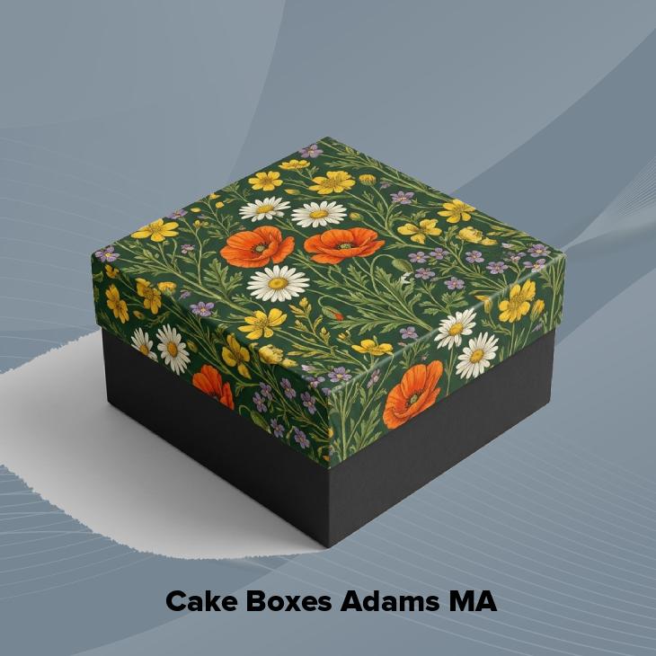 Cake boxes adams ma