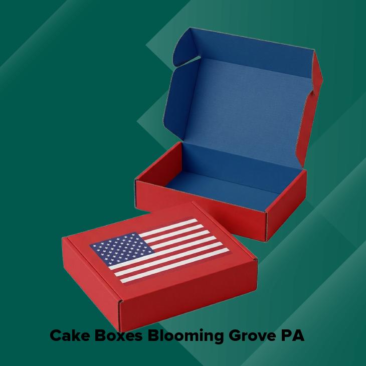 Cake boxes blooming grove pa