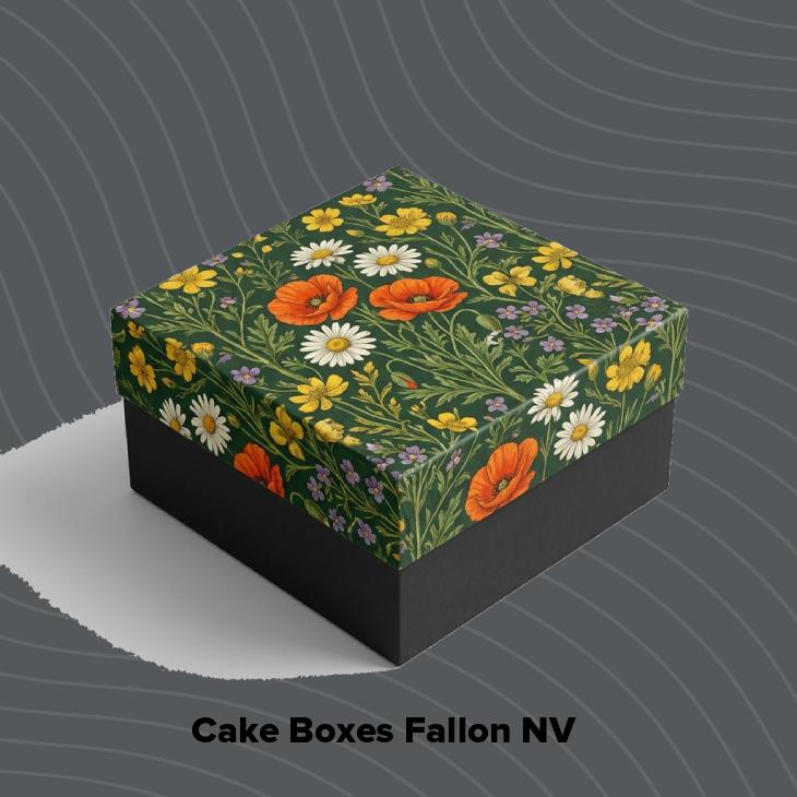 Cake boxes fallon nv