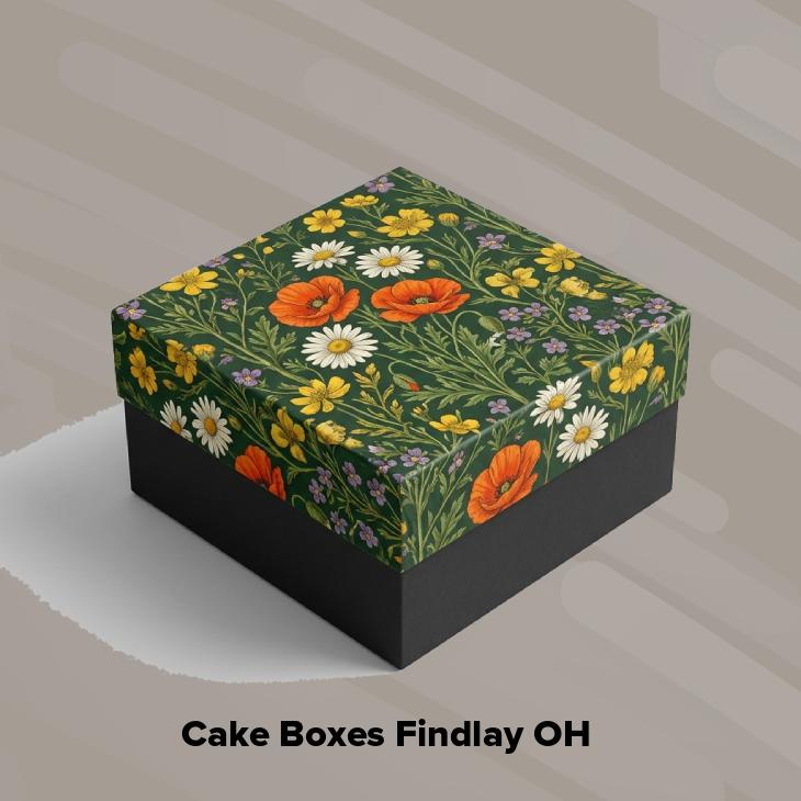 Cake boxes findlay oh