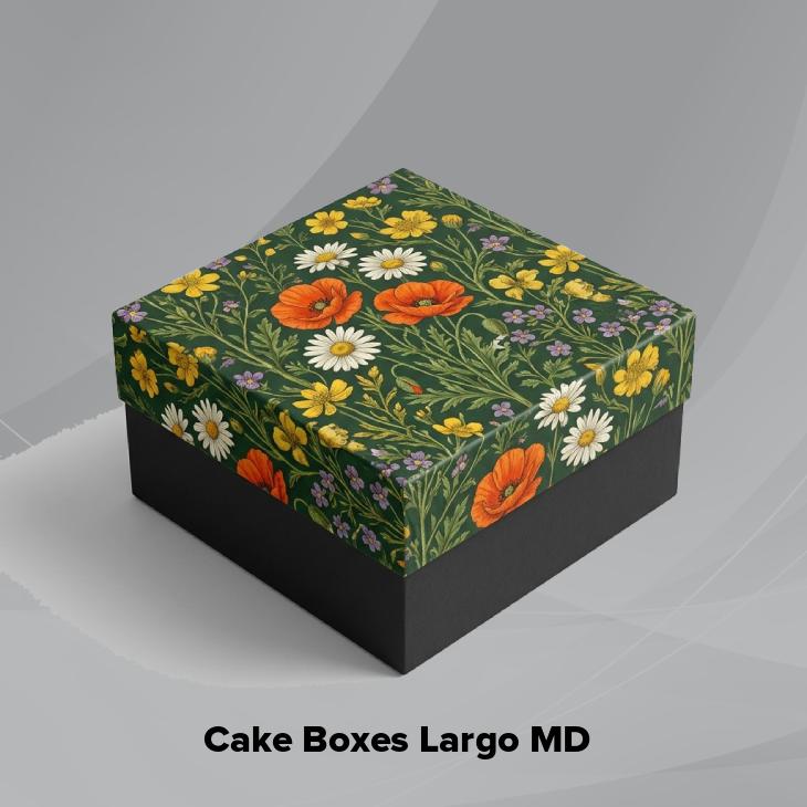 Cake boxes largo md