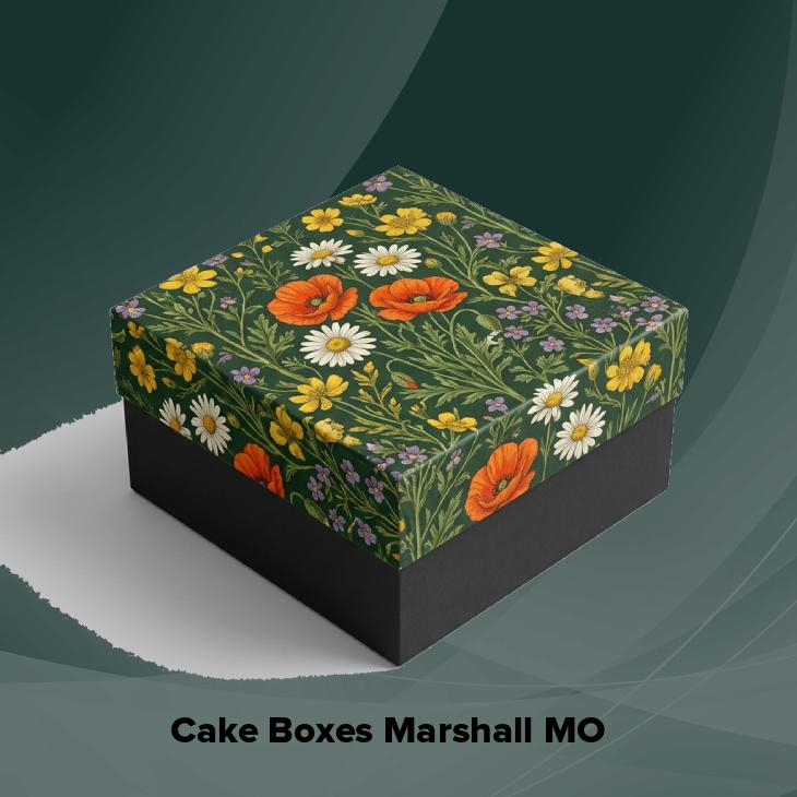 Cake boxes marshall mo