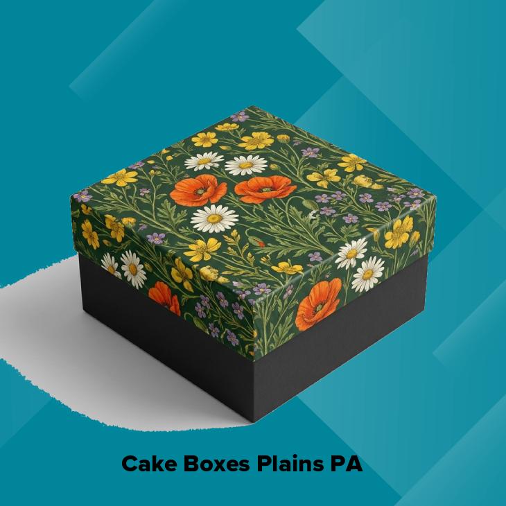 Cake boxes plains pa