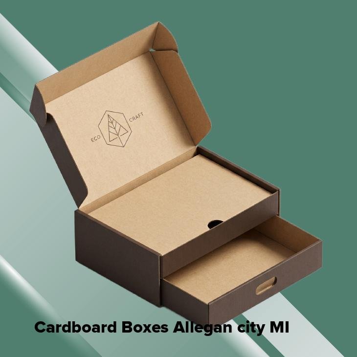 Cardboard boxes allegan city mi