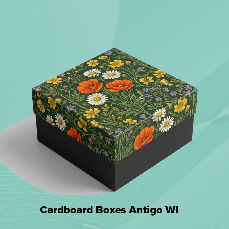 Cardboard boxes antigo wi