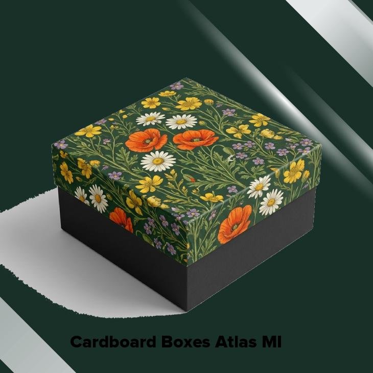 Cardboard boxes atlas mi