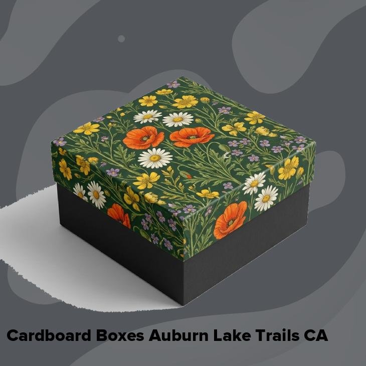 Cardboard boxes auburn lake trails ca