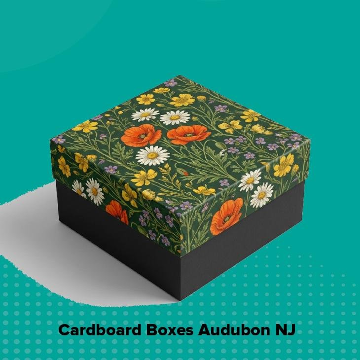 Cardboard boxes audubon nj