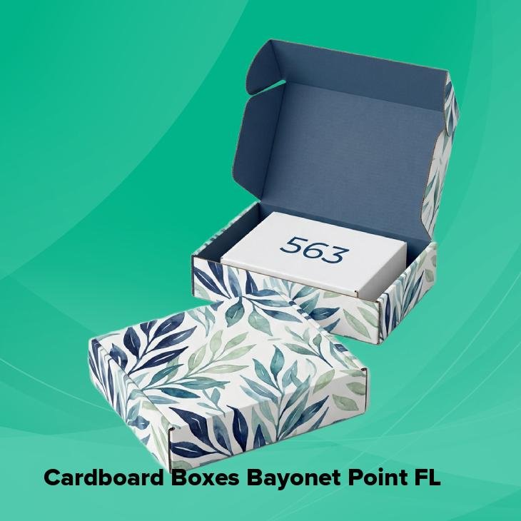 Cardboard boxes bayonet point fl