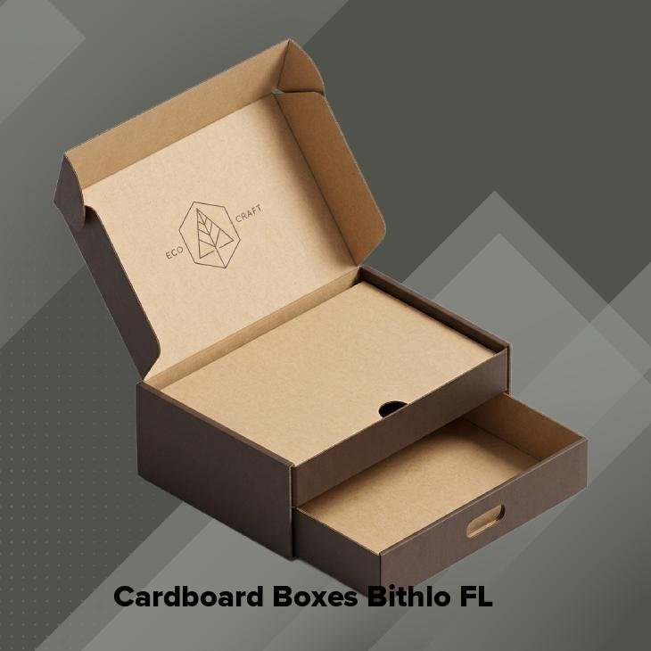 Cardboard boxes bithlo fl