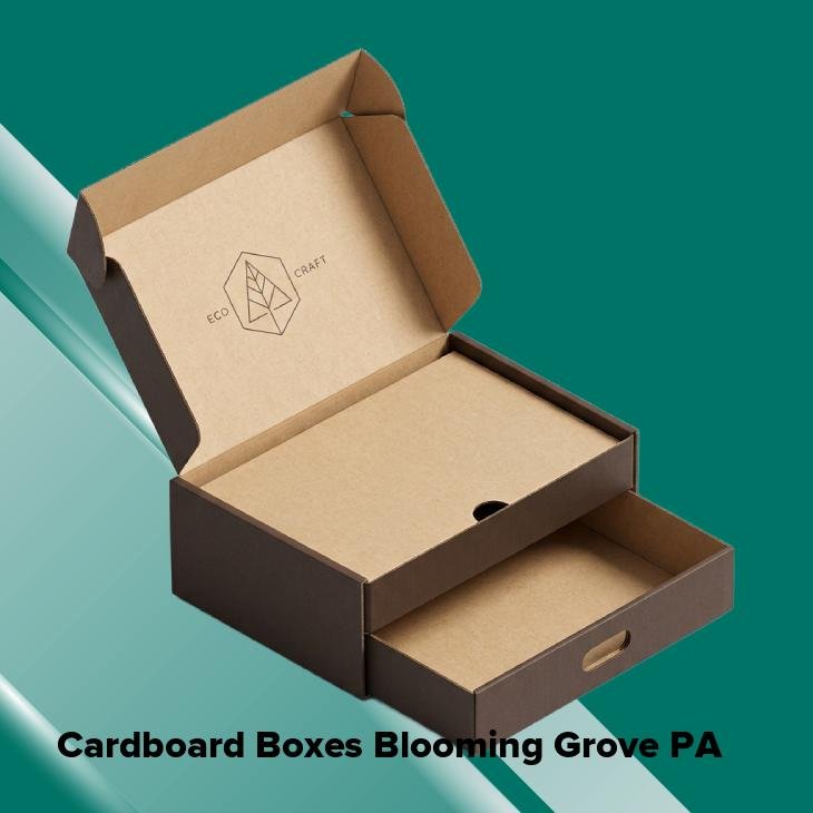 Cardboard boxes blooming grove pa