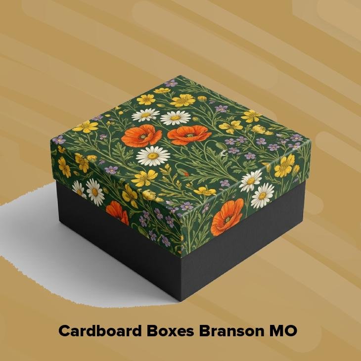 Cardboard boxes branson mo