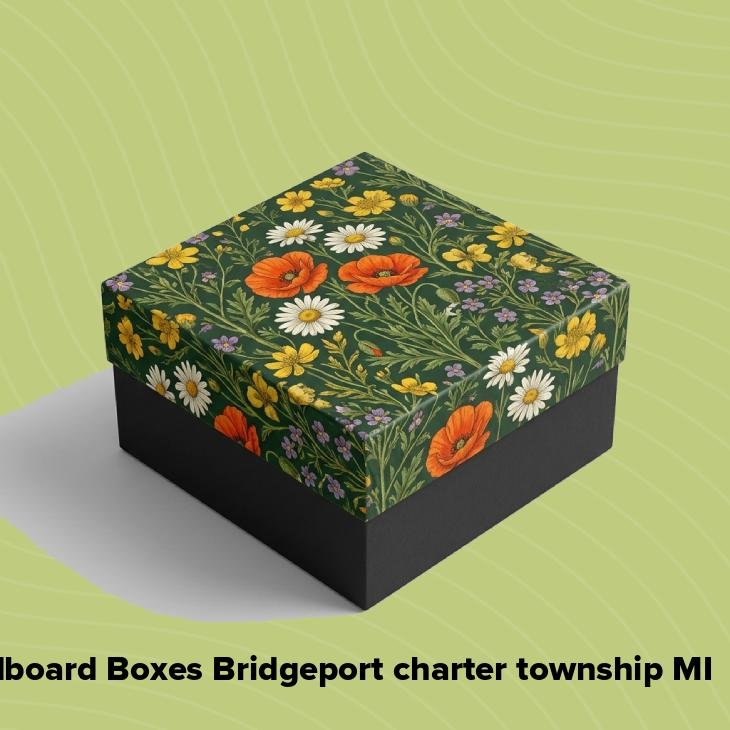 Cardboard boxes bridgeport charter township mi