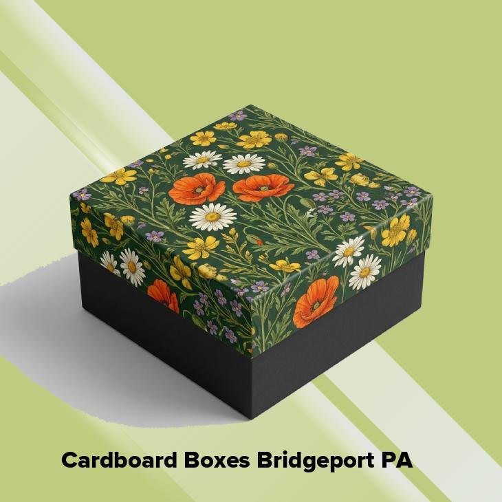 Cardboard boxes bridgeport pa