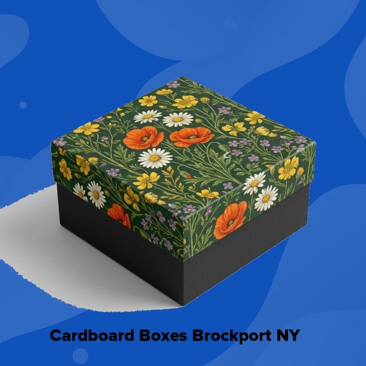Cardboard boxes brockport ny