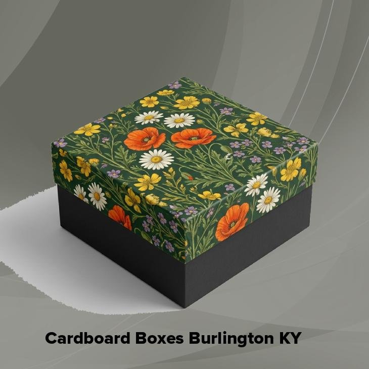 Cardboard boxes burlington ky