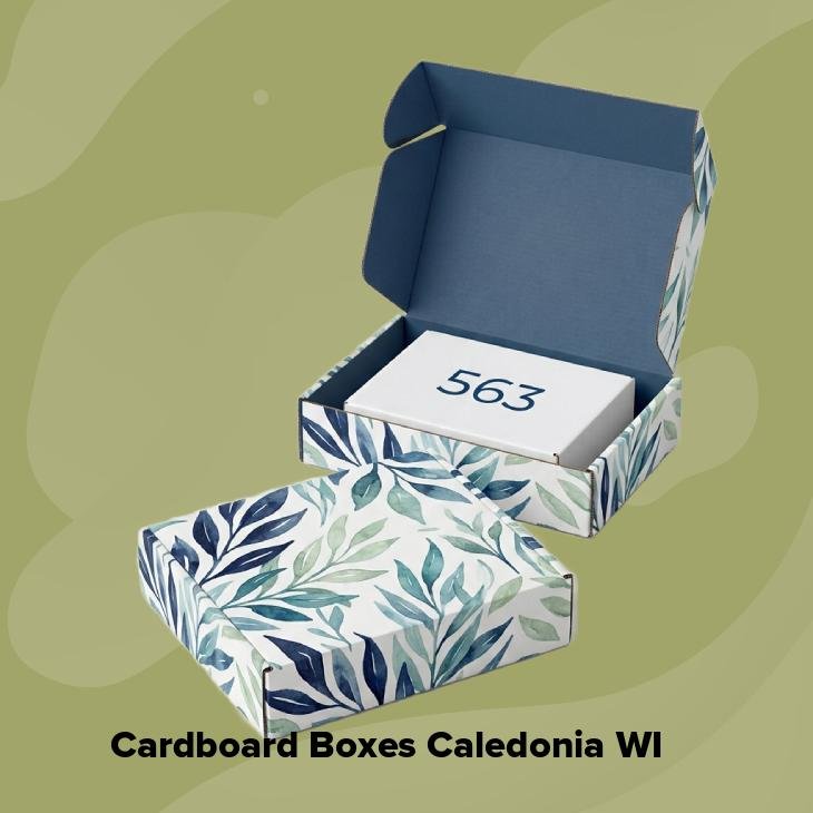 Cardboard boxes caledonia wi