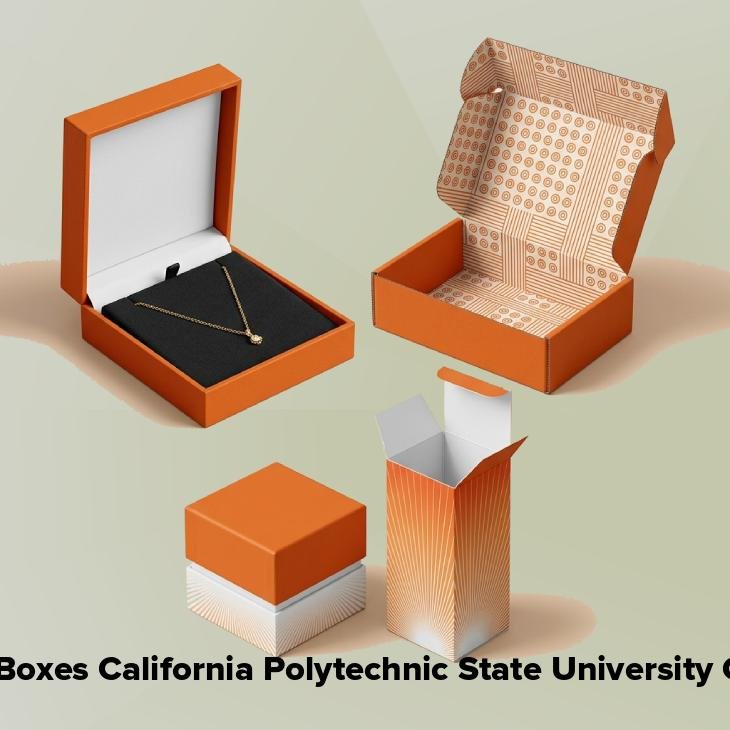 Cardboard boxes california polytechnic state university ca