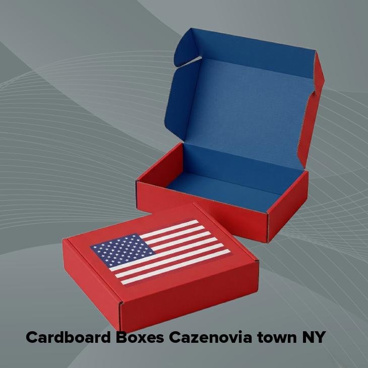Cardboard boxes cazenovia town ny