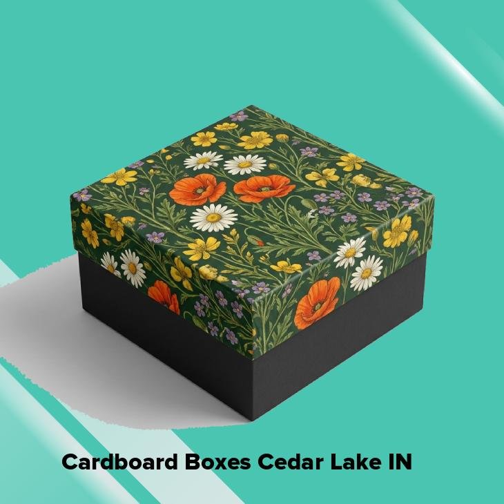 Cardboard boxes cedar lake in