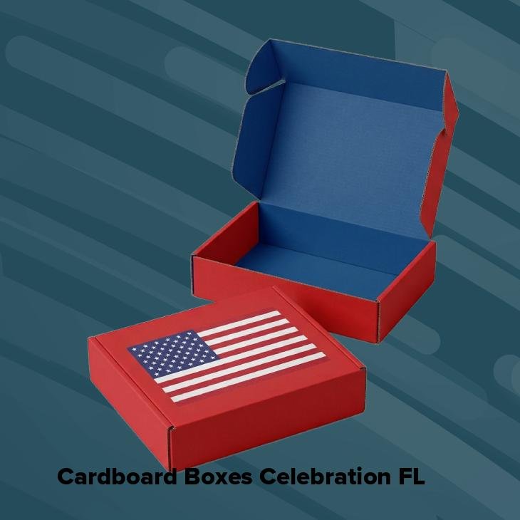 Cardboard boxes celebration fl