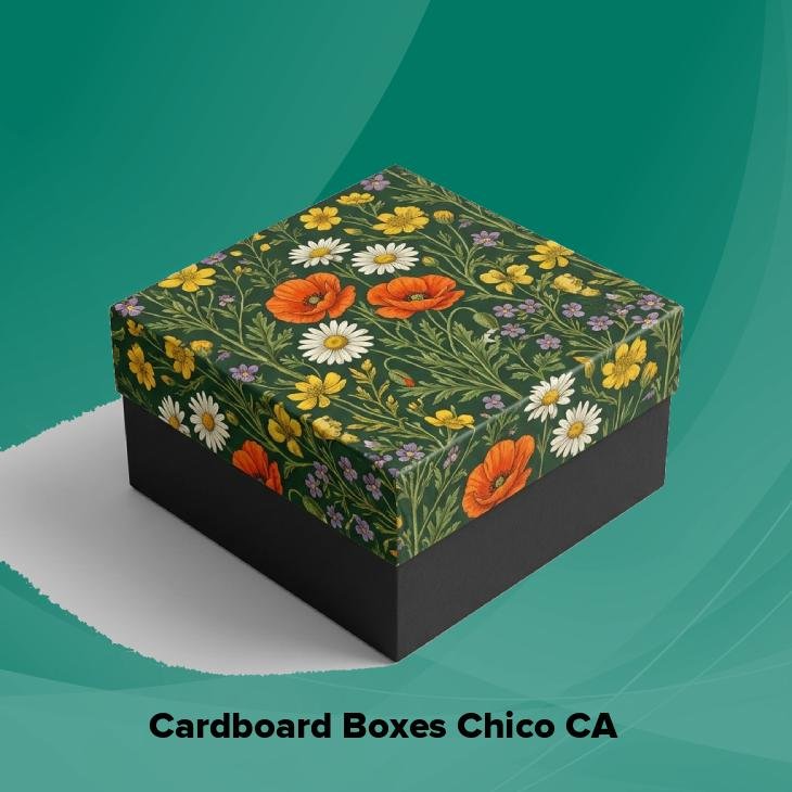 Cardboard boxes chico ca