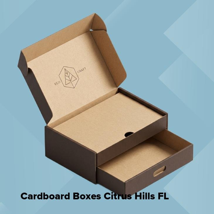 Cardboard boxes citrus hills fl