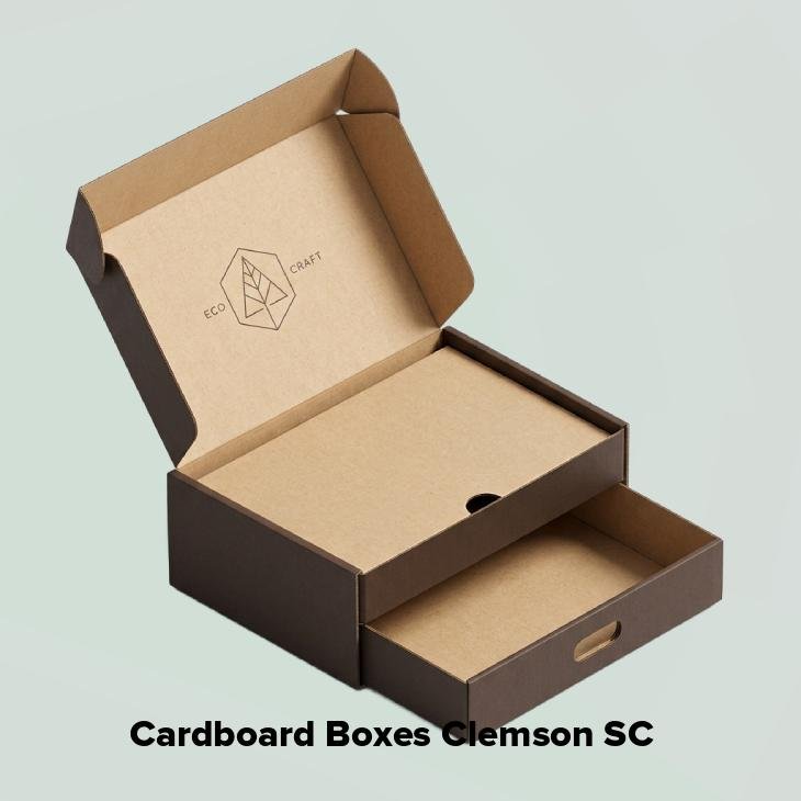 Cardboard boxes clemson sc