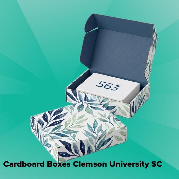 Cardboard boxes clemson university sc