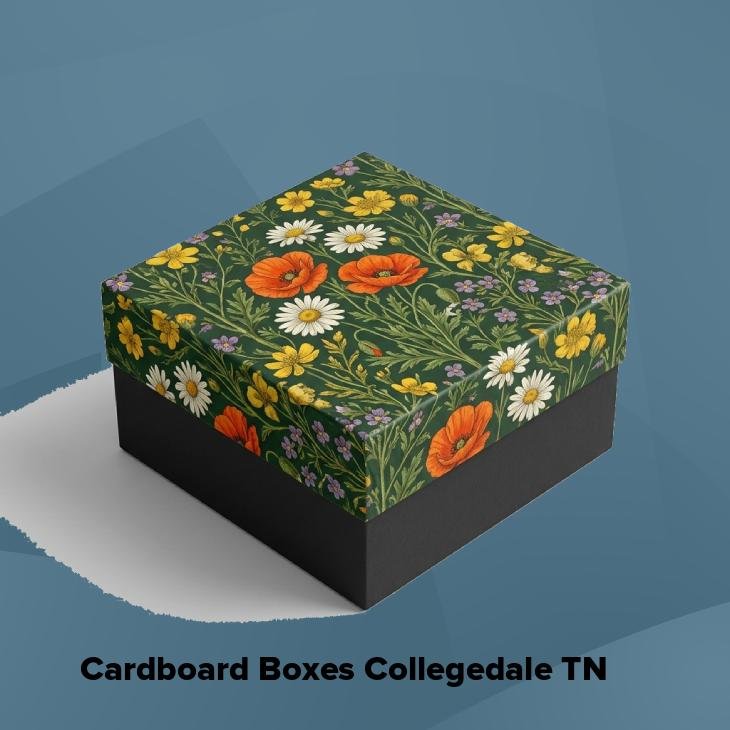Cardboard boxes collegedale tn