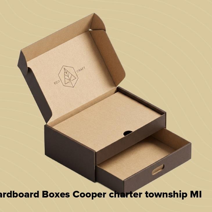 Cardboard boxes cooper charter township mi