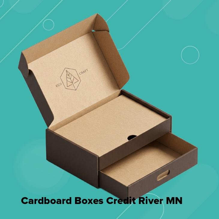 Cardboard boxes credit river mn