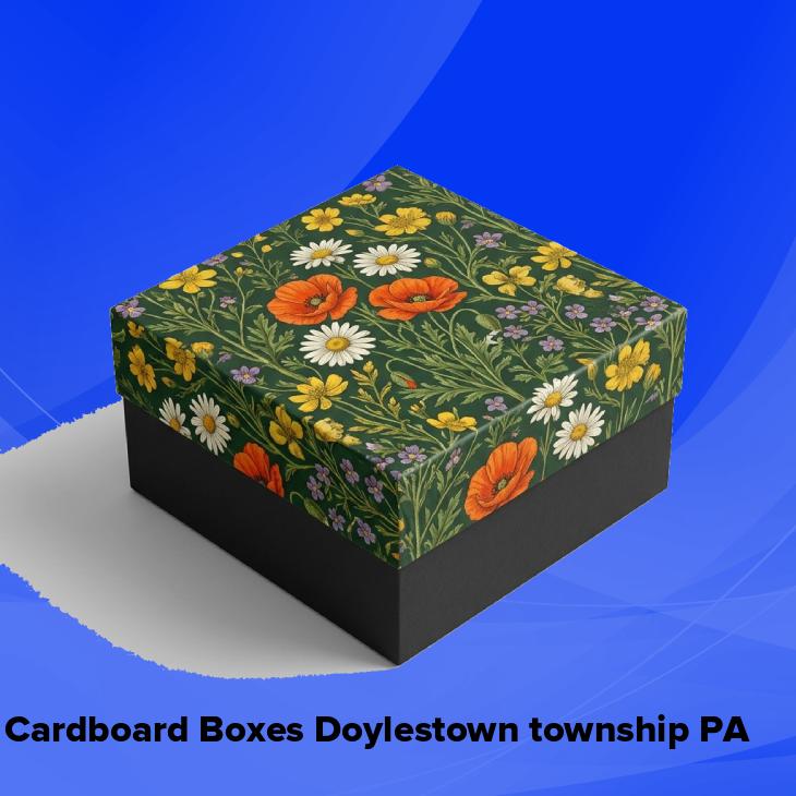 Cardboard boxes doylestown township pa