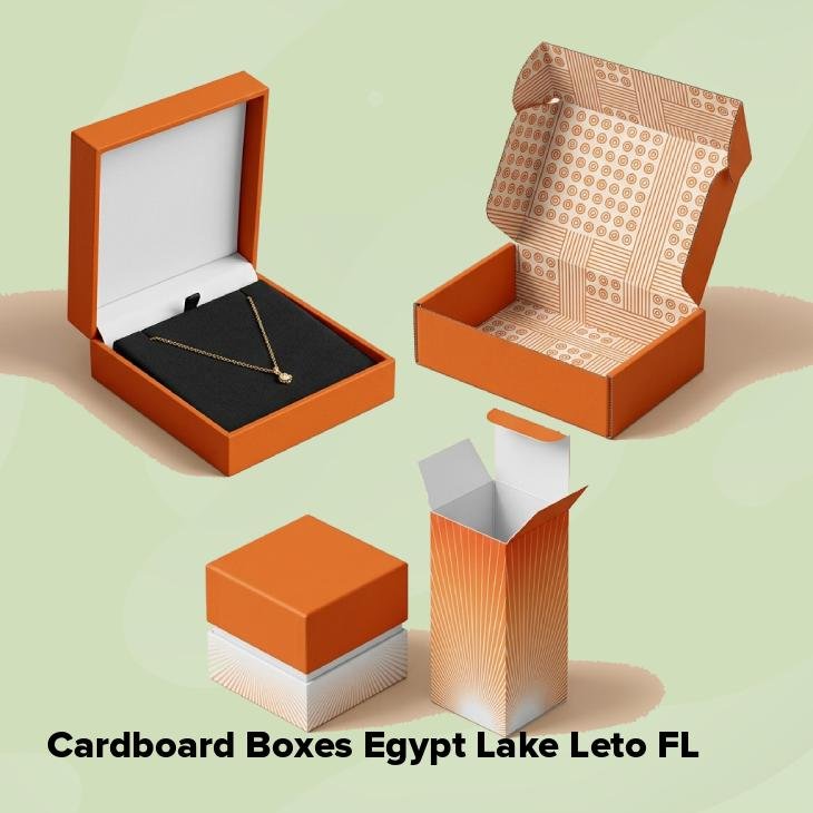 Cardboard boxes egypt lake leto fl