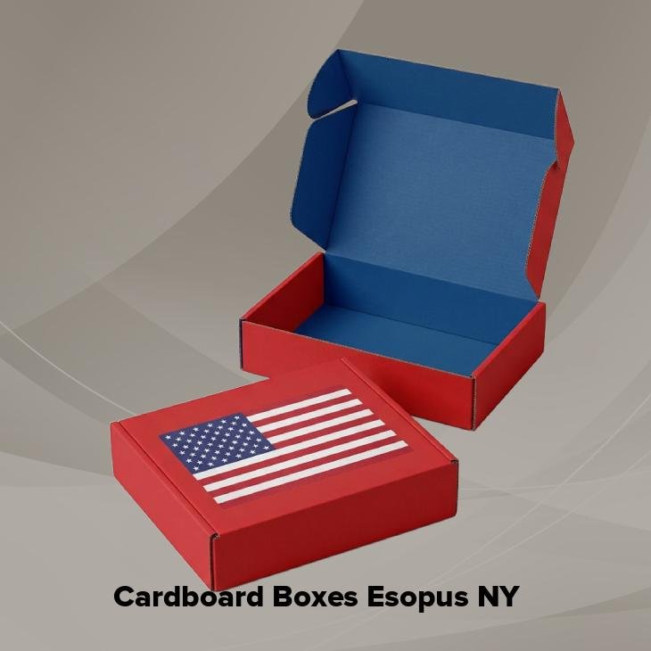 Cardboard boxes esopus ny