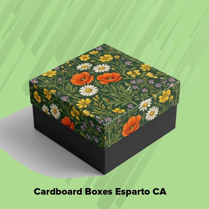 Cardboard boxes esparto ca