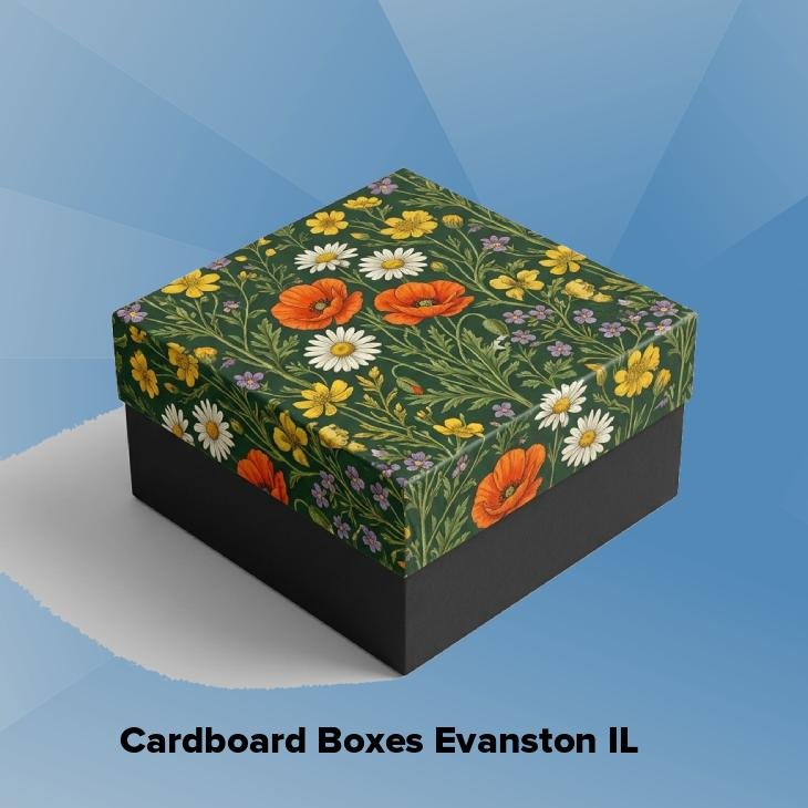 Cardboard boxes evanston il