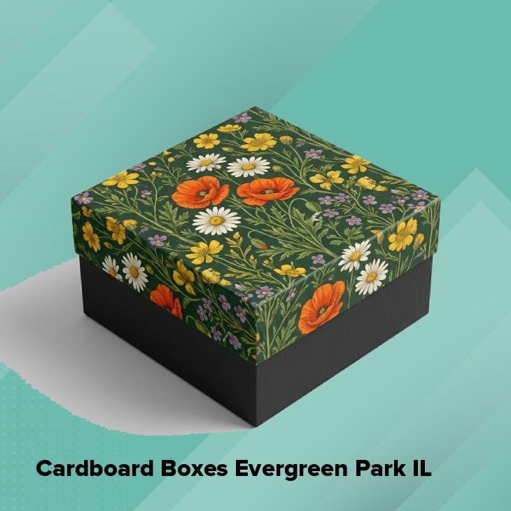 Cardboard boxes evergreen park il