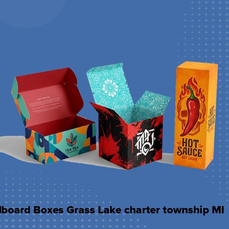 Cardboard boxes grass lake charter township mi