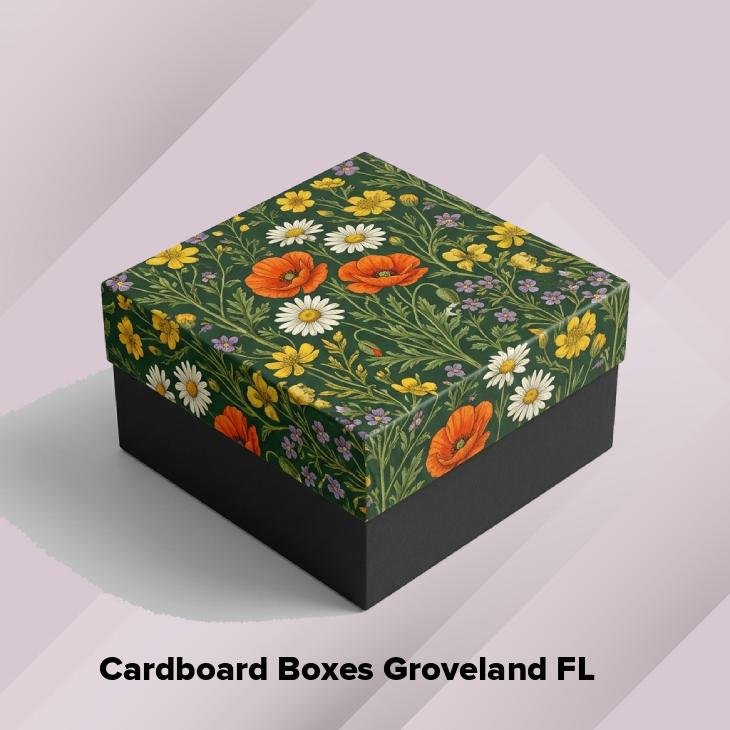 Cardboard boxes groveland fl