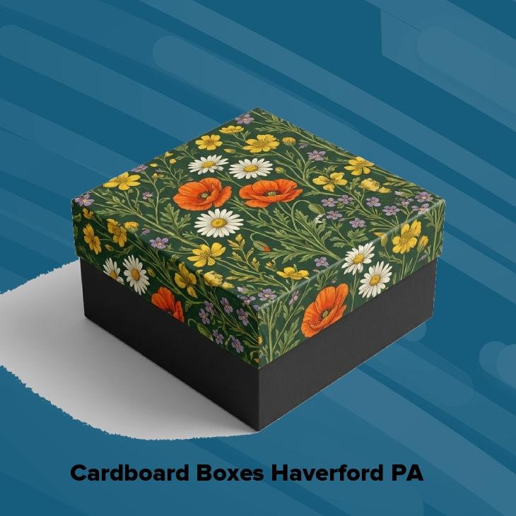 Cardboard boxes haverford pa
