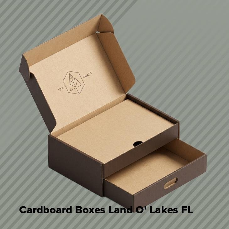 Cardboard boxes land o' lakes fl
