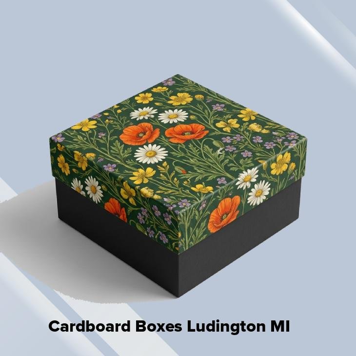 Cardboard boxes ludington mi