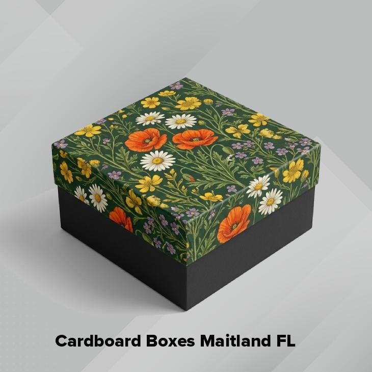 Cardboard boxes maitland fl