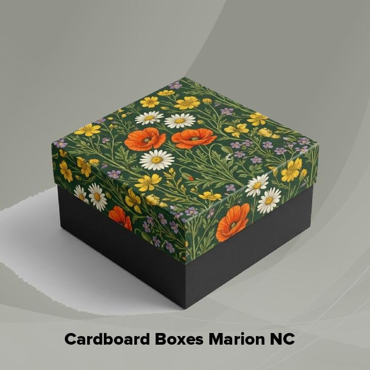 Cardboard boxes marion nc