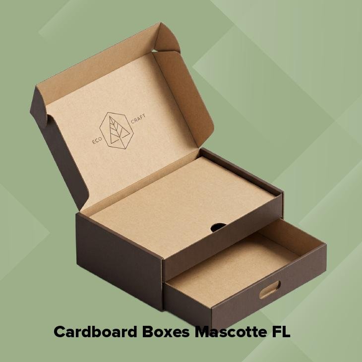 Cardboard boxes mascotte fl