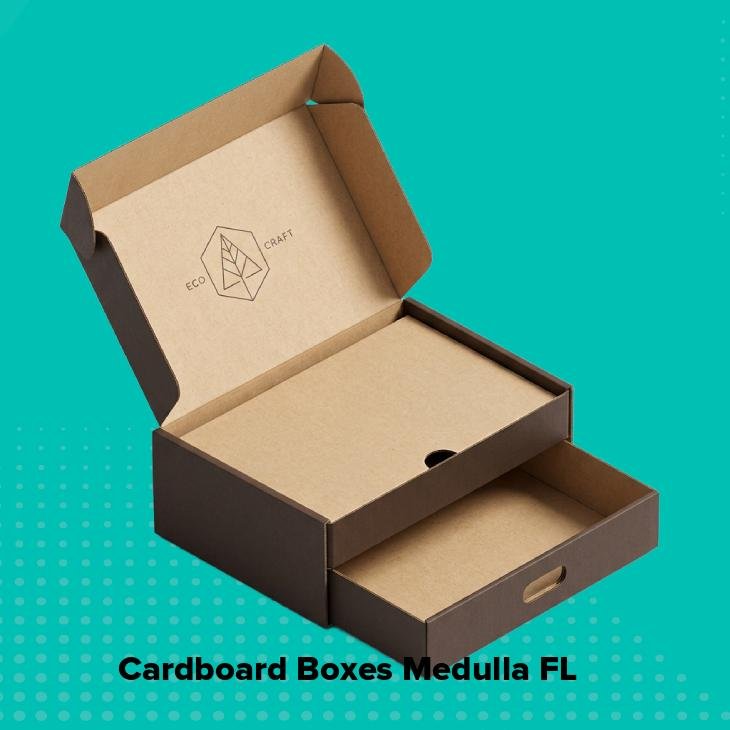 Cardboard boxes medulla fl