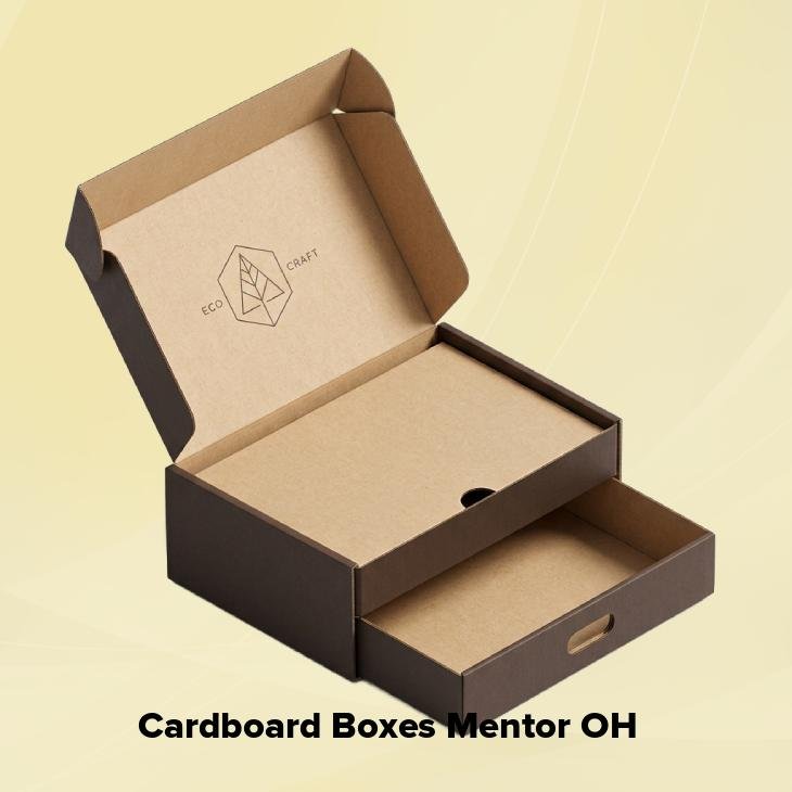 Cardboard boxes mentor oh